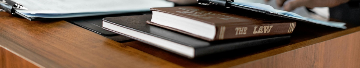 expert-legal-solutions